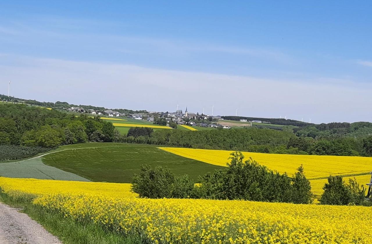 Kleine-Eifel-Auszeit Apartment Hambuch Ngoại thất bức ảnh